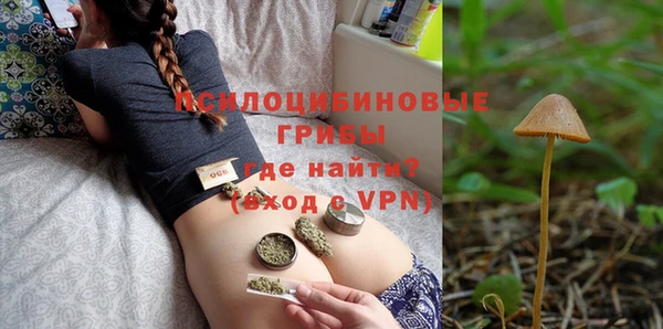 шишки Алзамай