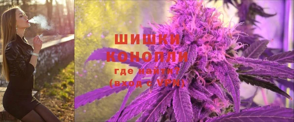 шишки Алзамай